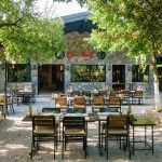 Fethiye’de Ne Yenir? En İyi Lezzetler ve Cin Bal Önerisi